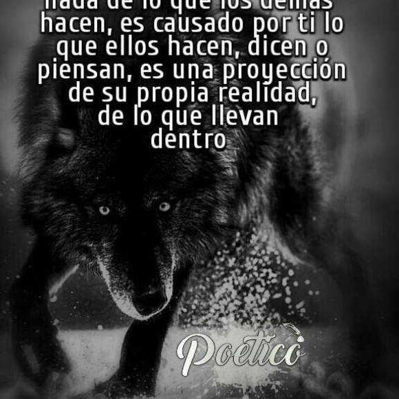 Meet your Posher, Homar - Picture 1 of 1